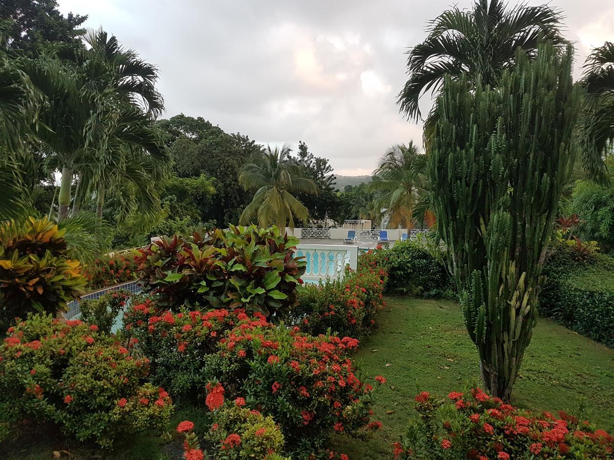 Skycastle Oasis Ocho Rios Exterior foto
